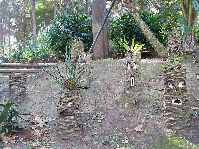 File:Tree Stumps with Faces in La Concepción Botanical Garden 02.jpg