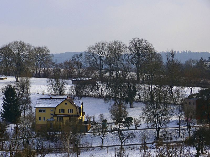 File:Trees - panoramio (51).jpg