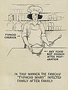 Typhoid carrier polluting food - a poster.jpg