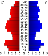 Bevolkingspiramide Knox County