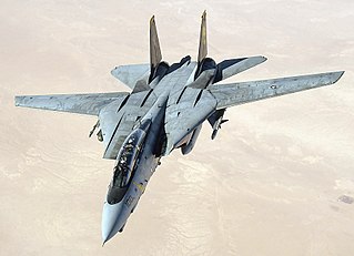 <span class="mw-page-title-main">Grumman F-14 Tomcat</span> Carrier-based air superiority fighter aircraft family