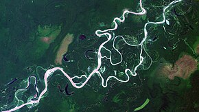 Ucayali River lowlands in Loreto, Perú.jpg