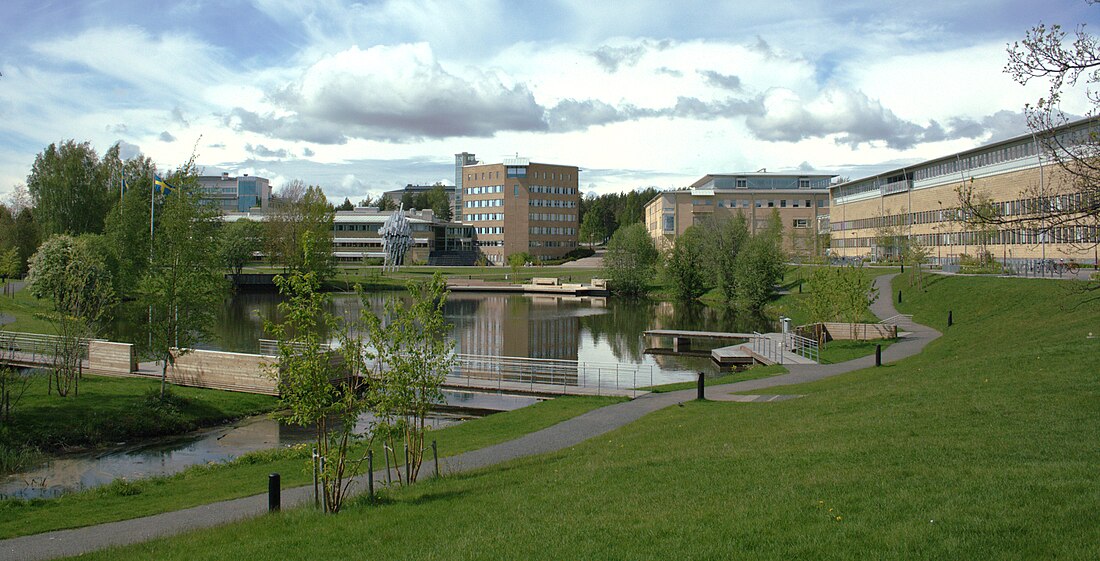 Universitat d'Umeå