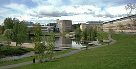 Universiteit van Umeå