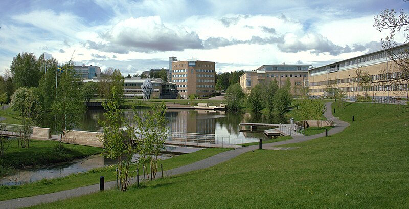 Umeå universitet