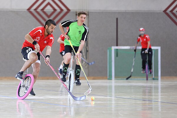 Какой самый 1 спорт. Одноколесный велосипед в Unicycle Hockey. Уницикл хоккей это что такое. Необычные виды спорта. Редкие виды спорта.