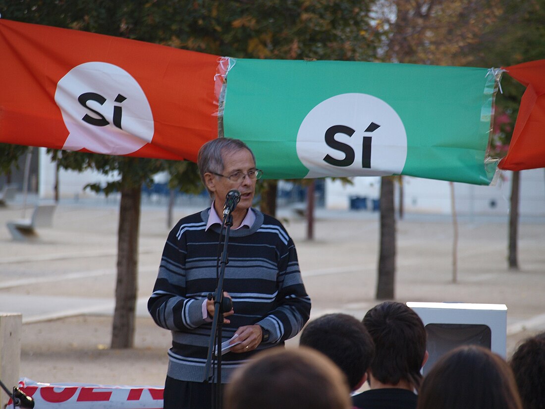 Joan Viñas i Salas