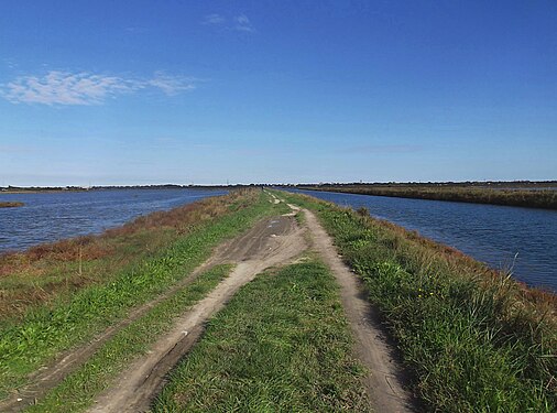 Brackish lagoons of Comacchio - Ferrara (Italy)