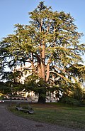 Varese - Ville Ponti 0145.jpg