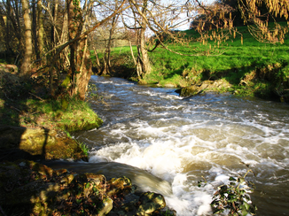 The river at Saint-Mars-du-Désert