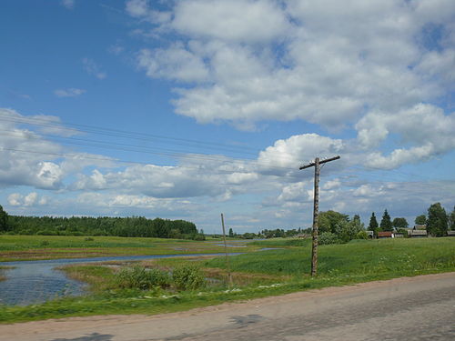 Долина новгородская область. Усполонь деревня Новгородская область. Усполонь Шимский район. Шимск река Мшага Новгородская. Векша река.