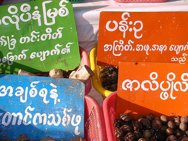 Sampling of various Burmese script styles