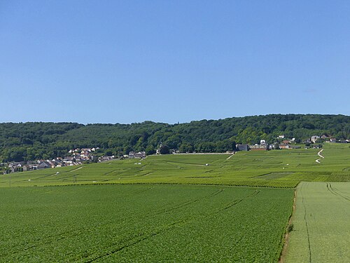 Serrurier porte blindée Verzy (51380)