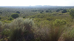 View of the Antelope Hills battlefield, with the Antelope Hills in the background and the Canadian River the midground. The confluence with Little Robe Creek is downstream to the left. View of the Antelope Hills battlefield.jpg