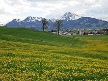 Fil:View_on_Echarlens_and_mount_Moleson,_FR_-_panoramio.jpg