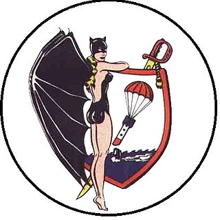 VP-24 1943-1995 United States Navy aviation squadron