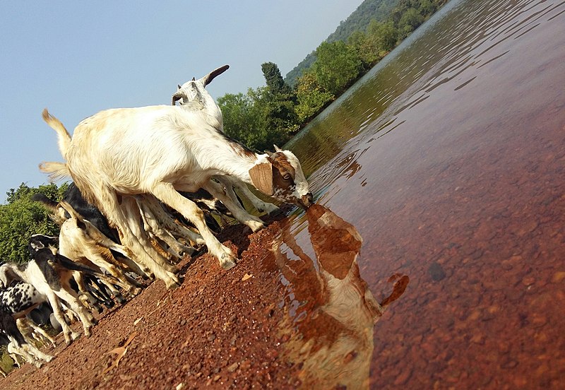 File:Water and nature.jpg