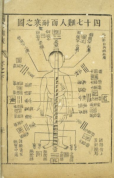 File:Why the face resists cold, Chinese, Ming period Wellcome L0034724.jpg