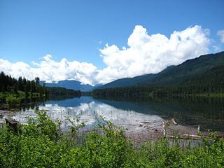 <span class="mw-page-title-main">Slocan River</span> River in British Columbia, Canada