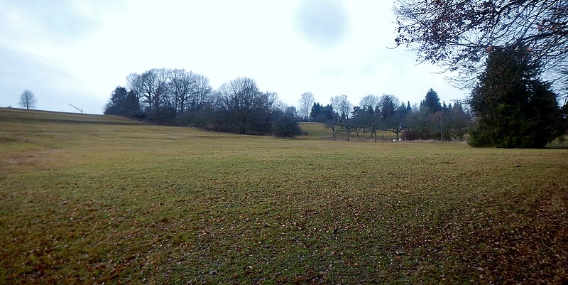 File:Wiese bei Steinenbronn - panoramio.jpg