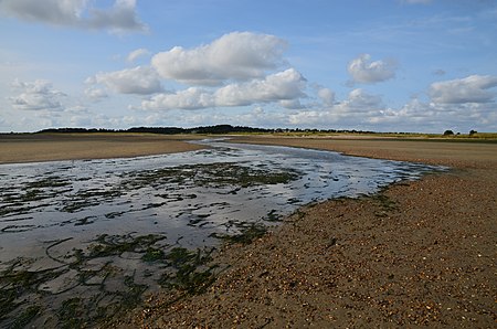 Witsum auf Föhr Godel Aug 2018 07DSC0419