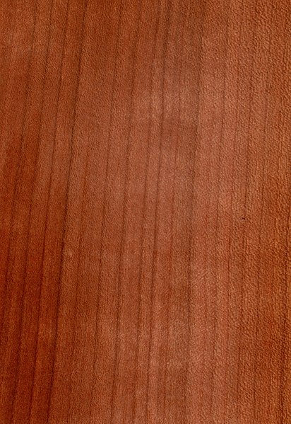 File:Wood prunus avium.jpg