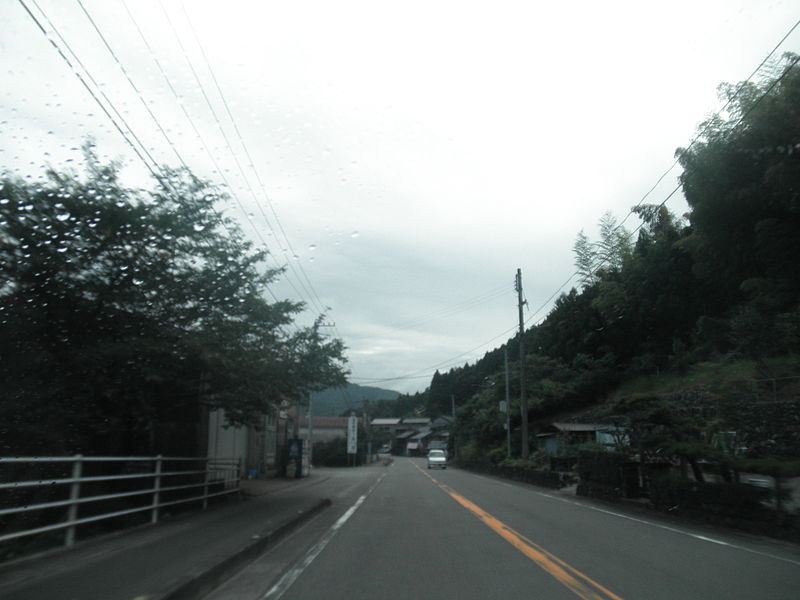 File:Yoshino 弥八かへ Nakatown Tokushimapref Route 195 No,2.JPG