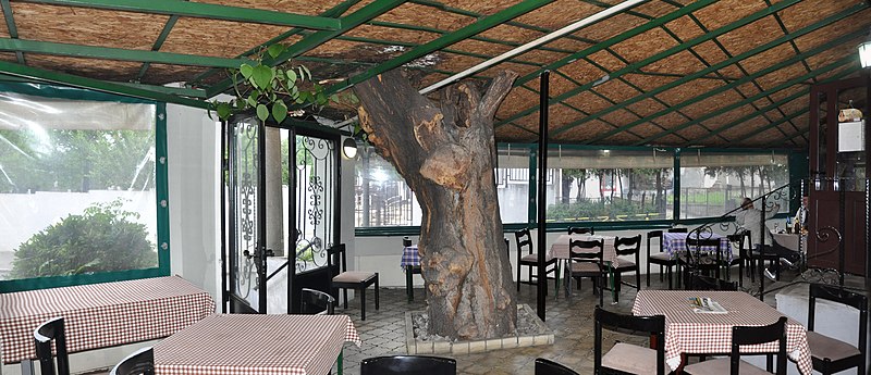 File:Zapis-0555-Beograd-Restoran-Novi-zapis 20160514 0910 stitch.jpg