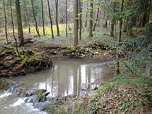 Triesting: Name, Verlauf, Wasserführung