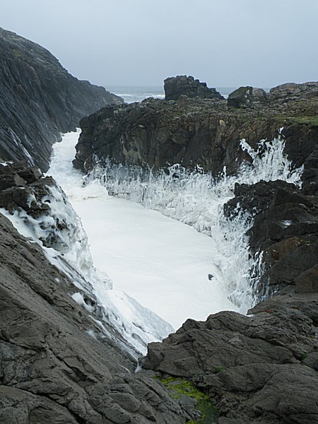 File:'Whipped Cream' Geo - geograph.org.uk - 1350037.jpg