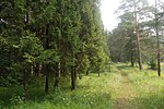 Парк «Кузьминки», заложенный лесоводом А.Е. Теплоуховым