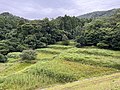 2022年11月19日 (土) 07:18時点における版のサムネイル