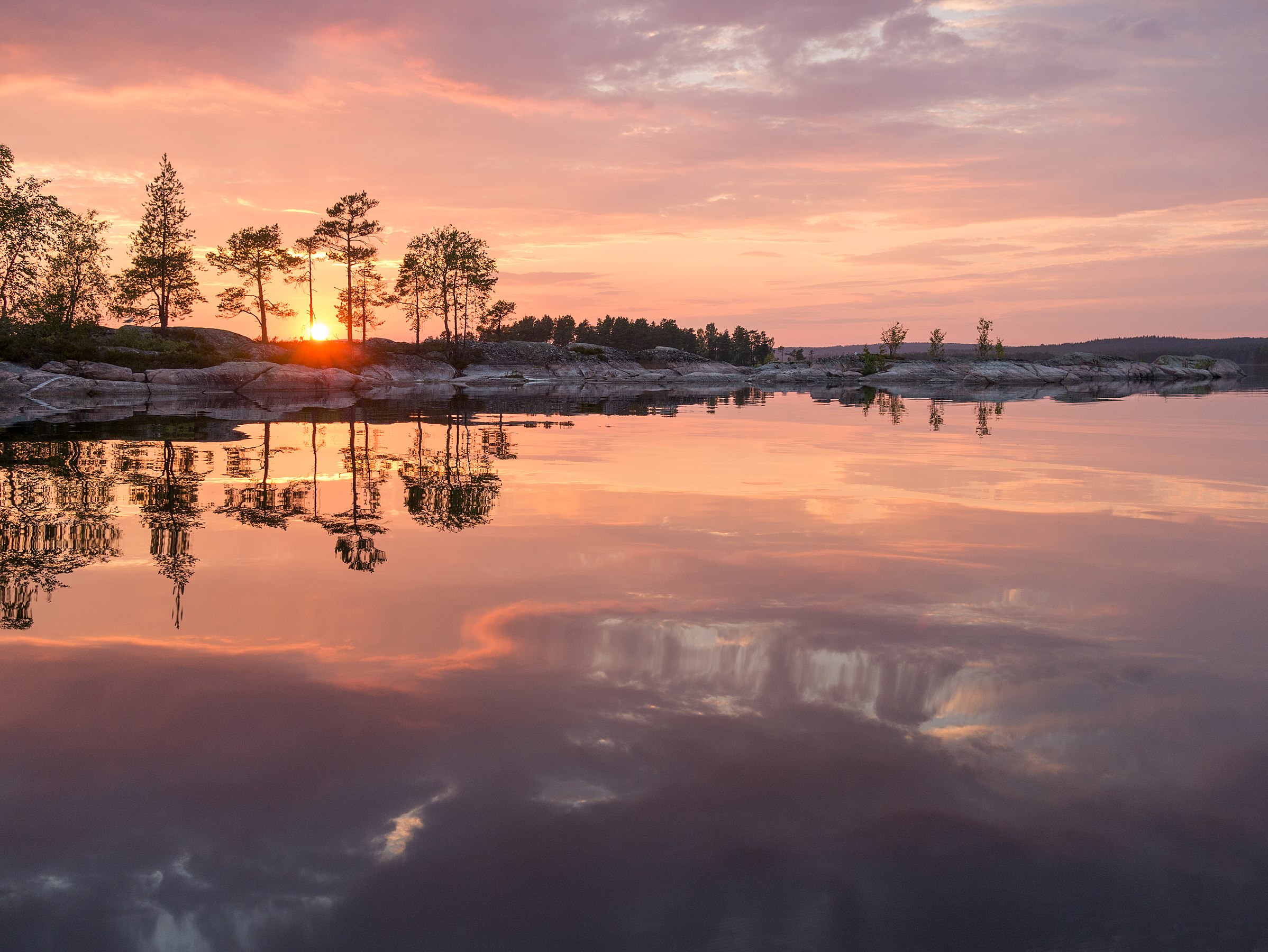 Naturreservatet Glaskogen i västra Värmland.Photograph: Peter Nilsson