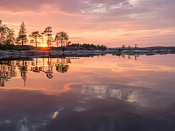 Naturreservatet Glaskogen i västra Värmland. Photograph: Peter Nilsson Licensing: CC BY-SA 4.0