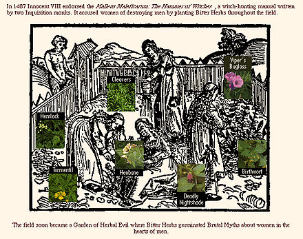 The Malleus Maleficarum (the 'Hammer of Witches'), published in 1487, accused women of destroying men by planting bitter herbs throughout the field.