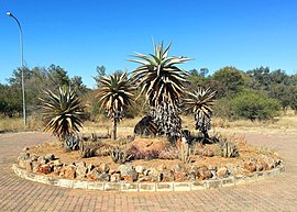 1 National Botanical Gardens Botswana.jpg