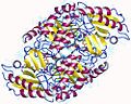 Thumbnail for Ornithine aminotransferase