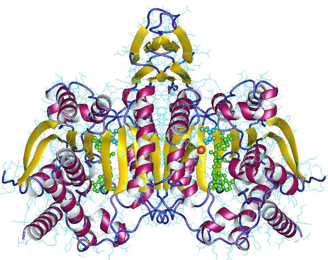 Isocitrate déshydrogénase