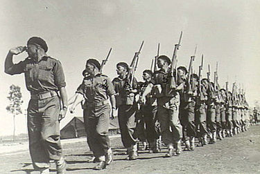 A parade on the Atherton Tablelands, Queensland, 11 September 1944. B Troop salutes during the march past. 2-6th cavalry commando - qld - on parade.jpg