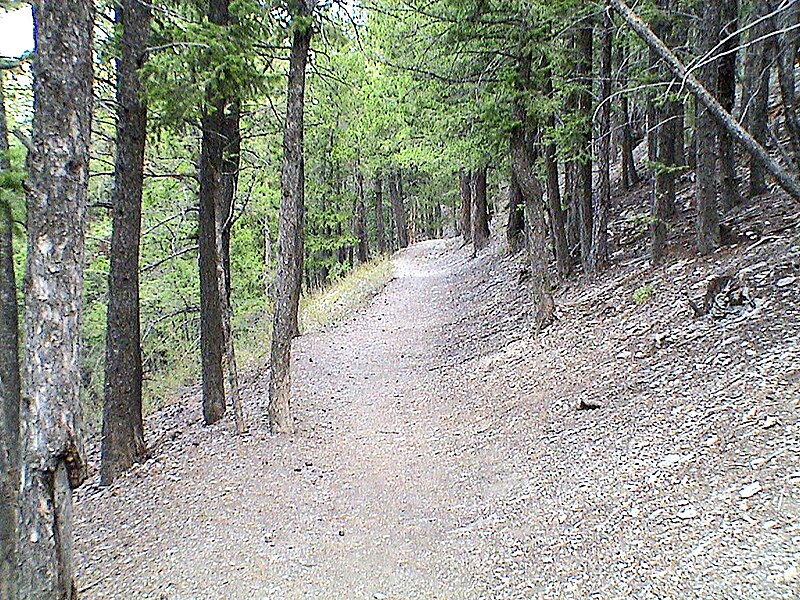 File:20030822MtHelenaTrail165.jpg