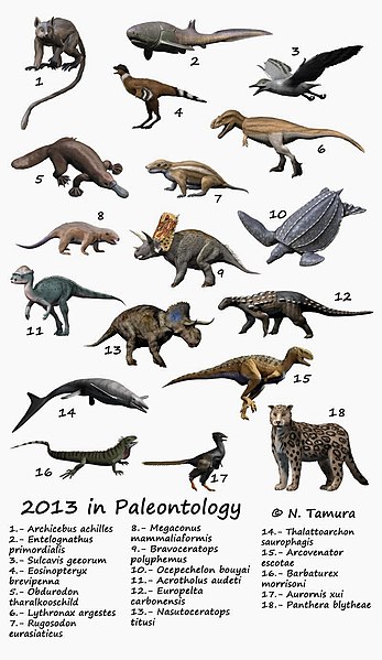 File:2013 in paleontology NT.jpg