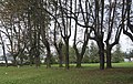 park, 2 poł. XIX