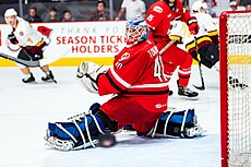 Tokarski during his run to the Calder Cup with the Checkers in 2019. 2019 Calder Cup Finals - Game 2 - Chicago Wolves at Charlotte Checkers - June 2, 2019 - Dustin Tokarski (48038949831).jpg