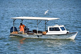2021-06-27 03 Chesapeake Bay deadrise workboat used for crabbing.jpg