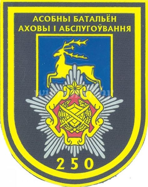 File:250th Separate Maintenance and Security Battalion Insignia.jpg