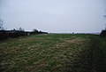 A field on the banks of the River Exe - geograph.org.uk - 1114747.jpg