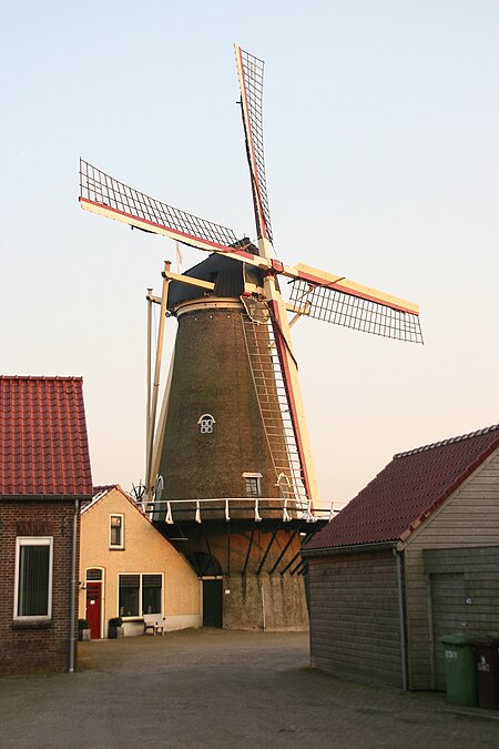 Achthuizen molen Windlust