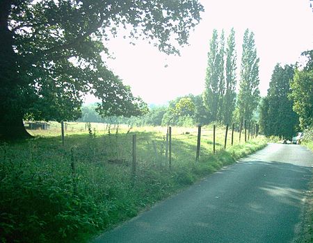 West-facing view of the remnant barrow, which extends away from the camera on the left-hand side of the road between the fence and the tree Addington long barrow 1.jpg