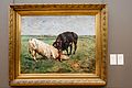 Alfred Verwee - Two Young Bulls Fighting.jpg