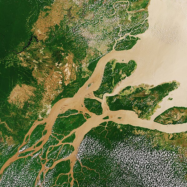 Satellite image of the Amazon Delta captured by NASA in 2005.